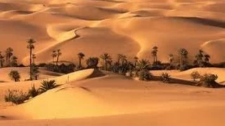 Desert Documentary HD - The Namib Desert Coast