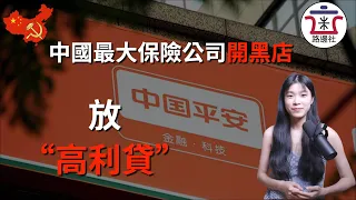 【😱】中國最大保險公司公然“放高利貸”。真實案例揭中共「普惠金融」下小微企业被逼上绝路。認清中國平安保險的貸款套路｜米國路邊社 [20211102#157]