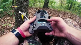 Wildgame Innovations Vision 14 Lights out trail camera review / Set-up