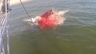 Great White Shark Grabs 12 Year Old Boy Off Boat!