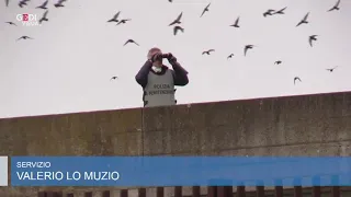Poliziotto penitenziario di Bologna: contagi e sicurezza, situazione drammatica!