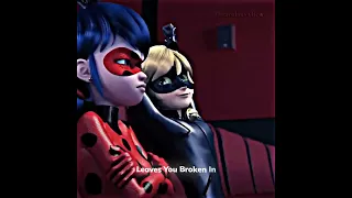 LadyNoir 🥺❤️ In The Name Of Love 💘 #shorts #miraculous