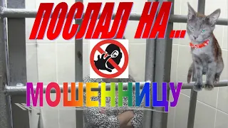 ПОСЛАЛ МОШЕННИЦУ