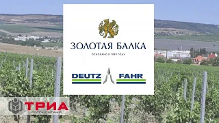 гусеничный трактор "DEUTZ-FAHR AGROCLIMBER"