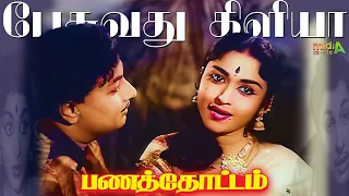 பேசுவது கிளியா - Pesuvathu Kiliya Song |4K VIDEO | #tamiloldsongs #mgrsongs