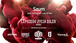 04. Paluch "Szum" prod. SoDrumatic, cuty: Dj Taek