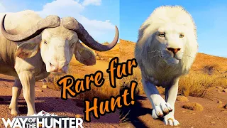 WILD Tikamoon Plains rare fur hunt! | Way of the Hunter