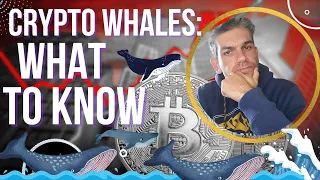 Crypto Whales Explained: Why Investors Should Watch Them?