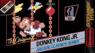 Longplay of Donkey Kong Jr.