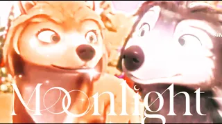 Alpha & Omega - Kate & Humphrey “Can’t Fight The Moonlight” AMV #alphaandomega