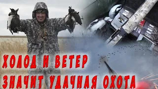 Холодная ночь в теплой палатке и супер охота на северную утку