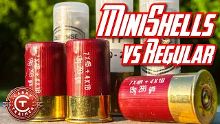 MiniShells vs Regular // Gel Block & Feeding Test | Episode #79