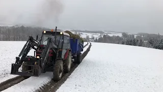 Vyvážení hnoje  Zetor 7745, Zetor 7245