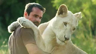 Heartbroken: Never Got To Say Goodbye | Lion Whisperer Membership