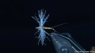 Tying a Callibaetis Spinner by John Kreft - RiverKeeper Flies