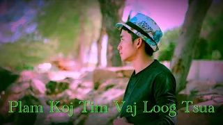 Plam Koj Tim Vaj Loog Tsua : FBI ( Cover By Yeejkoob Thoj )