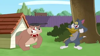 Том и Джерри "Всему голова" #cartoon #tomjerry