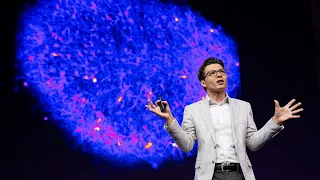 How We're Reverse Engineering the Human Brain in the Lab | Sergiu P. Pasca | TED