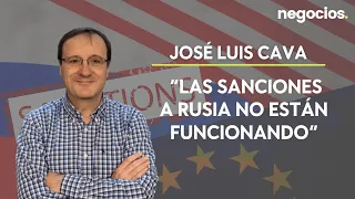 José Luis Cava: “Las sanciones a Rusia no están funcionando”