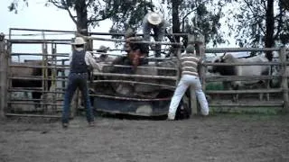 Treino no serradão