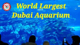 World's Largest UnderWater ZOO || Dubai Mall Aquarium #dubaimall #aquarium #burjkhalifa