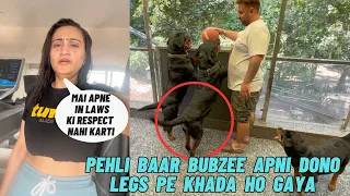 Rottweiler Bubzee Aaj Pehli Baar Apni Dono Taango Pe Khada Huya Hai: Manni Disrepects Her In Laws