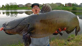 WORLD RECORD Catfish Caught at a City Pond?!?! (Bank Fishing)