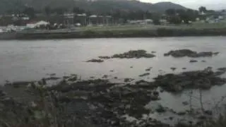 Brookings oregon tsunami surge