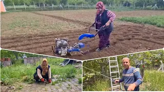 AŞI KABAK ÇAPASI OTURAK FASÜLYE EKTİM FİDELERİ NEDEN DİKEMEDİM SÖYLEYİN NERDEN BAŞLAYAM? KÖYDE HAYAT