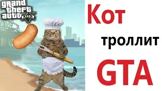 Лютые приколы. GTA - ТРОЛЛИТ КОТ!!! Самое смешное видео! Засмеялся проиграл! – Domi Show!