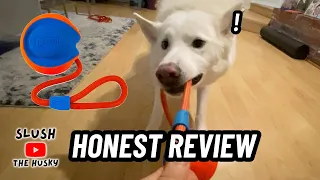 An Honest Chuckit! Rope Fetch Dog Toy Review