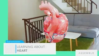 LEARNING ABOUT HEART IN AR! : Assemblr