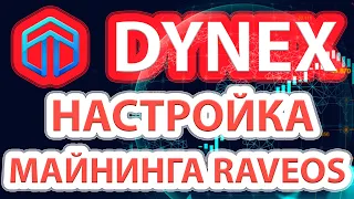 📌⚡ Настройка майнинга Dynex в RaveOS. Получаем адрес для майнинга DynexCoin.