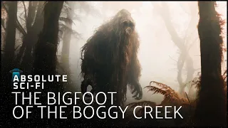 Undeniable Proof Of Bigfoot And The Fouke Monster? | Paranormal Truth | Absolute Sci-Fi