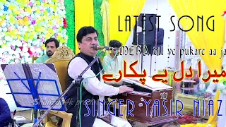 Yasir Khan Niazi | Mera Dil Ye Pukare Aaja   New Latest Saraiki Punjabi Song 2024