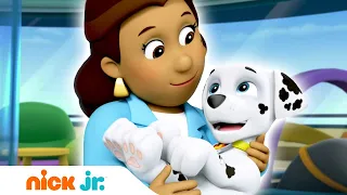 Щенячий патруль | Время веселья с щенками! - часть 2 | Nick Jr. Россия