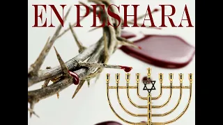Shabbat Drash : Parashah Bo | Haftarah Portion | Shemot 5784