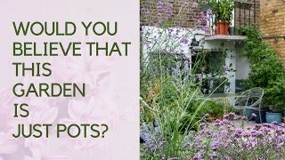 Rented garden ideas - create a stunning garden in pots!