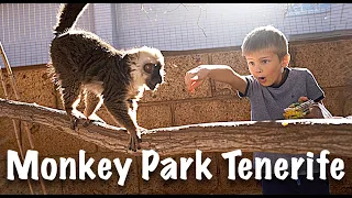 Monkey Park Tenerife | Парк обезьян на Канарских островах | Как Лева обезьян кормил