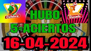 SUPER DATOS PARA🌹LOTTO ACTIVO y GRANJITA 16/04/2024 #lottoactivo#lagranjita#datosparahoy#datosdehoy