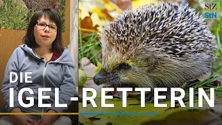 Die Igel-Retterin: Sie pflegt Igel wieder gesund