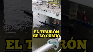 EL TIBURÓN DEL MAR😨 #spiderman