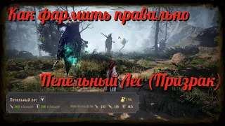 Black Desert / BD: Как фармить правильно Пепельный Лес (Призрак)