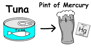 How Much Tuna for a Pint of Mercury?