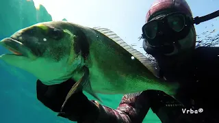 Spearfishing in Croatia - winter mix 2017