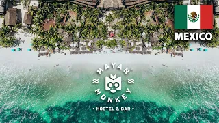 $15 Hotel in Tulum Mexico (Mayan Monkey Hostel)