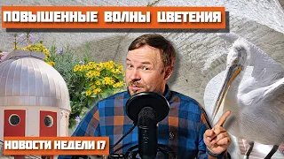 Речная навигация и отключение воды