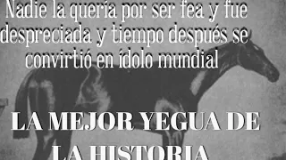 LA MEJOR YEGUA DE LA  HISTORIA Nadie la Quería por ser fea y Loca