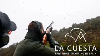 Spectacular Spanish Partridge Shooting at La Cuesta by Jonathan M. McGee