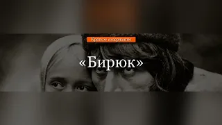 Краткое содержание - Бирюк